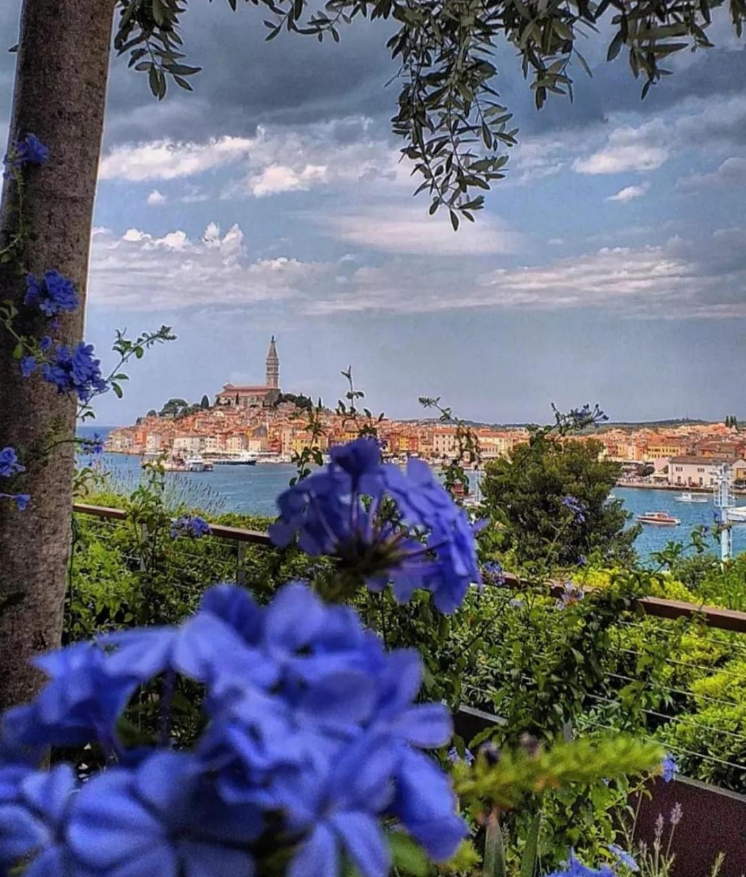 Apartments Mary & Free Parking Rovinj Habitación foto